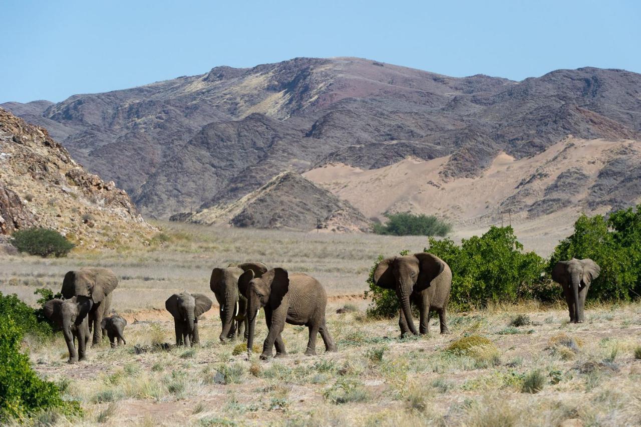 فيلا Twyfelfonteinفي Wilderness Safaris Doro Nawas المظهر الخارجي الصورة